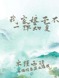 我家娘子不对劲 一禅知夏