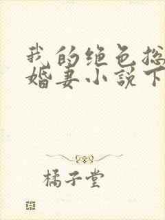 我的绝色总裁未婚妻小说下载