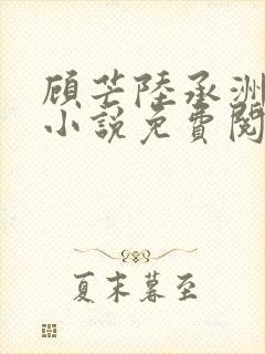 顾芒陆承洲正版小说免费阅读