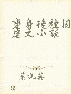 变身后被囚禁的虐文小说