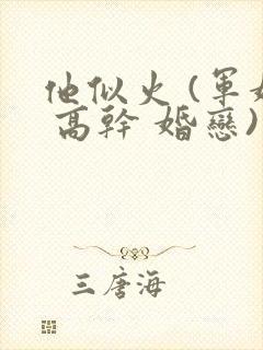 他似火 (军婚 高干 婚恋)