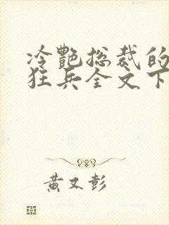 冷艳总裁的贴身狂兵全文下载