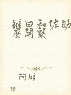 雏田和佐助是什么关系