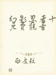 幻影忍者十七季免费观看