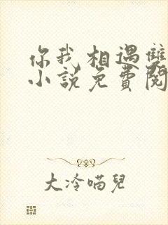 你我相遇双女主小说免费阅读