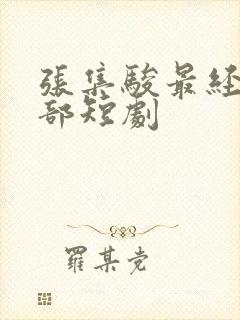 张集骏最经典十部短剧