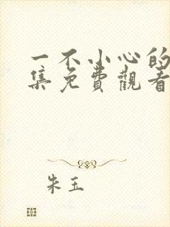 一不小心的爱全集免费观看