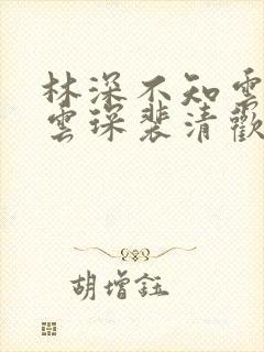 林深不知云海许云琛裴清欢