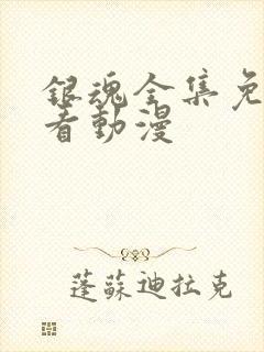 银魂全集免费观看动漫