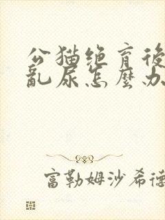 公猫绝育后还是乱尿怎么办