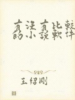 有没有比较好用的小说软件