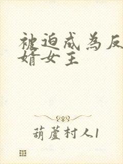 被迫成为反派赘婿女主