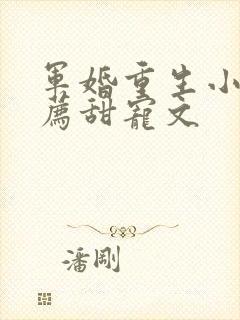 军婚重生小说推荐甜宠文