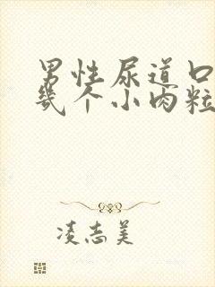 男性尿道口长了几个小肉粒