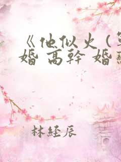 《他似火 (军婚 高干 婚恋)》