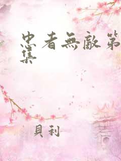 忠者无敌第42集