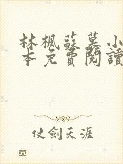 林枫苏慕小说全本免费阅读最新章节