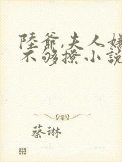 陆爷,夫人嫌你不够撩小说