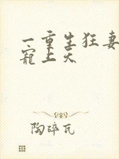 一重生狂妻大佬宠上天