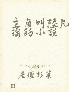 主角叫陆凡陆芝瑶的小说