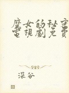 魔女的秘密契约电视剧免费观看