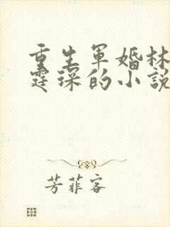 重生军婚林夕顾霆琛的小说