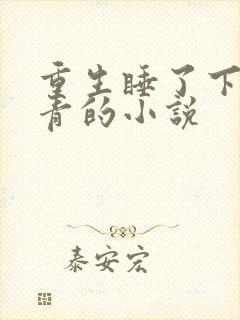 重生睡了下乡知青的小说