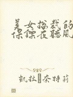 美女总裁的贴身保镖夜听风