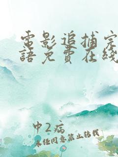 电影追捕完整国语免费在线看