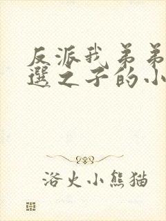 反派我弟弟是天选之子的小说txt下载