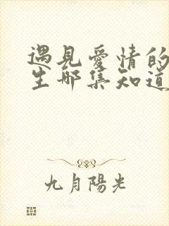 遇见爱情的利先生哪集知道身世