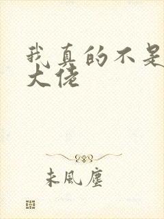 我真的不是反派大佬