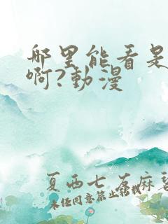 哪里能看是王者啊?动漫