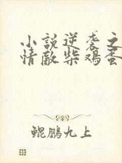 小说逆袭之爱上情敌柴鸡蛋最新