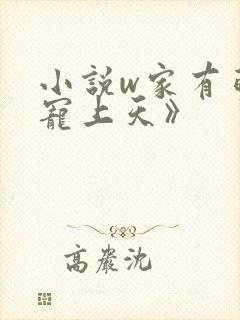 小说w家有萌妻宠上天》