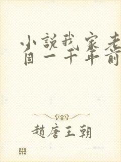 小说我家老婆来自一千年前