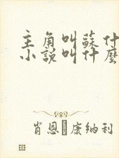 主角叫苏什么的小说叫什么