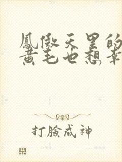 凤傲天里的反派黄毛也想幸福