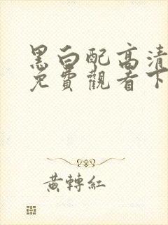 黑白配高清国语免费观看下载