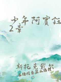 少年阿宾钰慧12章