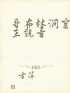 哥布林洞窟双男主观看