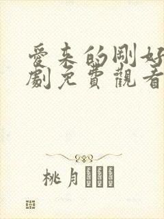 爱来的刚好电视剧免费观看哦