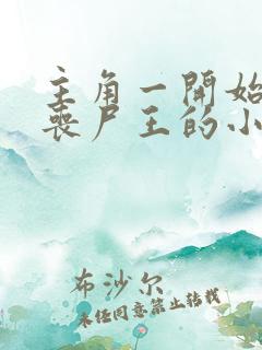 主角一开始就是丧尸王的小说