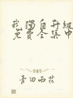 我独自升级动漫免费全集中文版