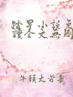 踏星小说免费阅读全文无删减