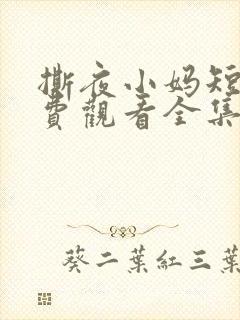 撕夜小妈短剧免费观看全集最新章节