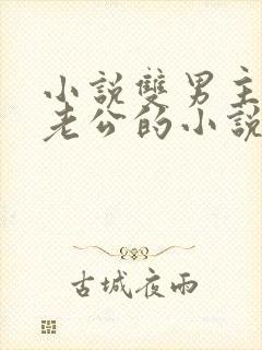 小说双男主虐文老公的小说推荐完结