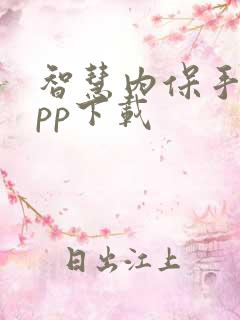 智慧内保手机app下载