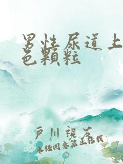 男性尿道上长红色颗粒