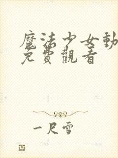 魔法少女动画,免费观看